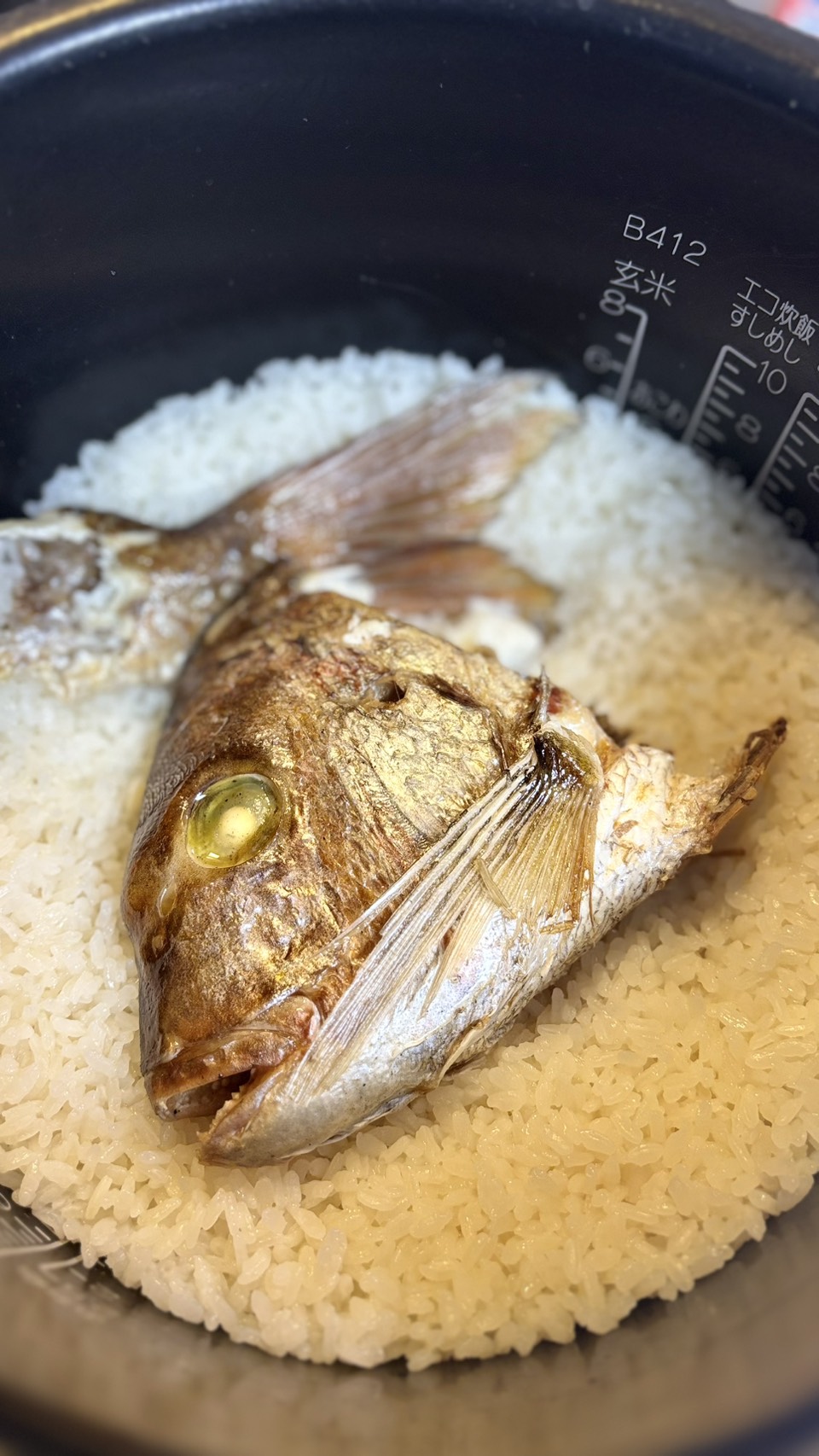 炊き上がった鯛めし。鯛のかぶとがごはんの上にのっている