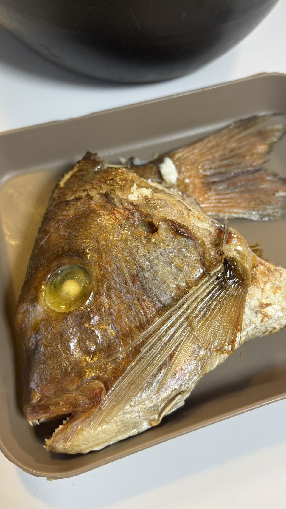 炊き上がった鯛めしから取り出した鯛のかぶと